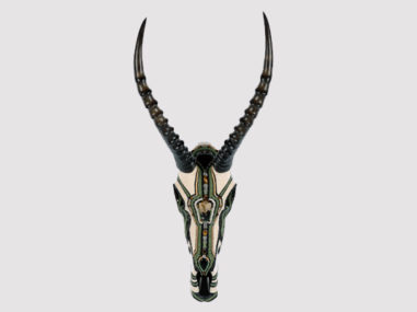 Blesbok Animal Skull Art African Horned Animal Skull