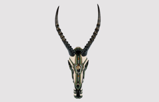 Blesbok Animal Skull Art African Horned Animal Skull